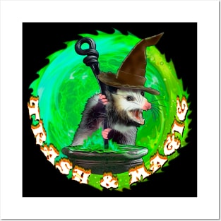 Trash and magic Opossum Posters and Art